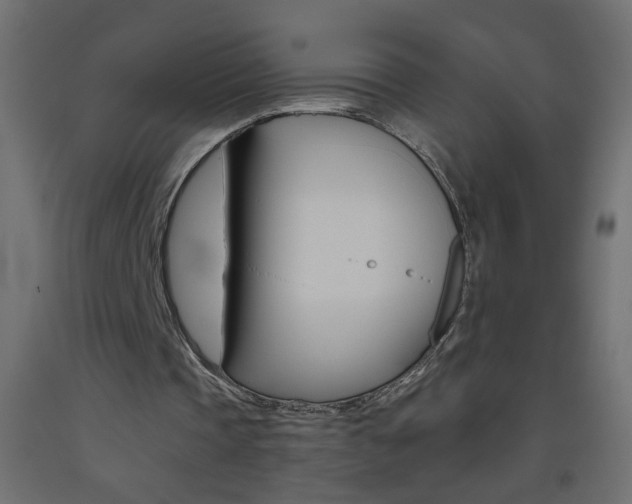 X0000093440337200710120949