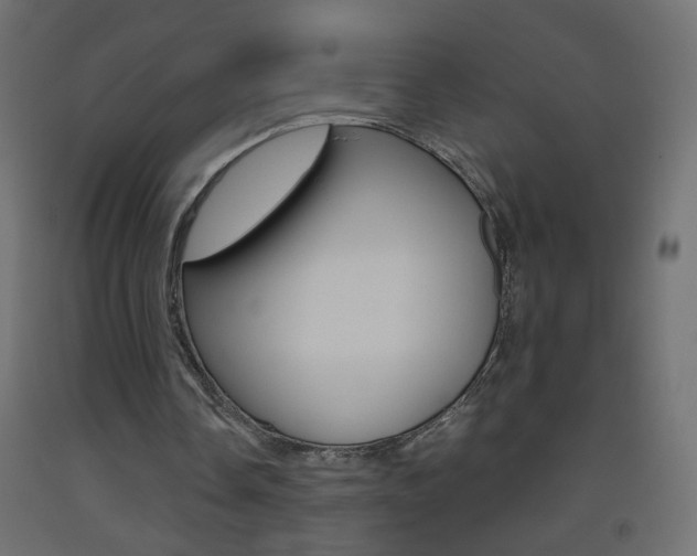 X0000093440338200710120949