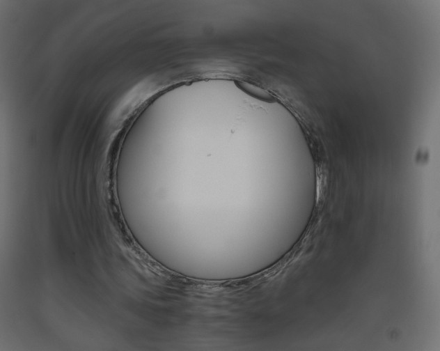 X0000093440339200710120949