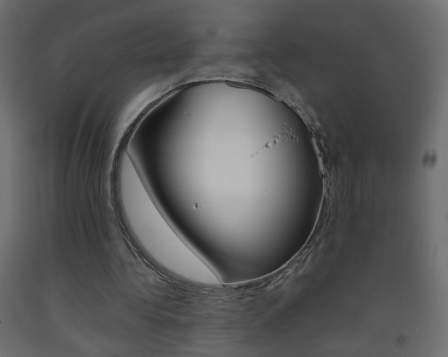 X0000093440340200710120949