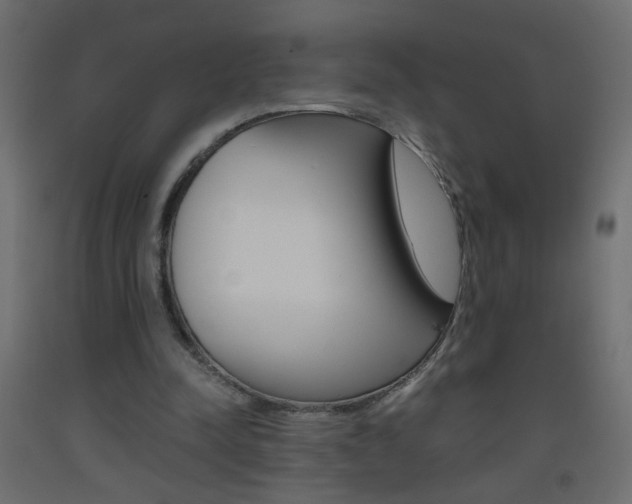 X0000093440342200710120949