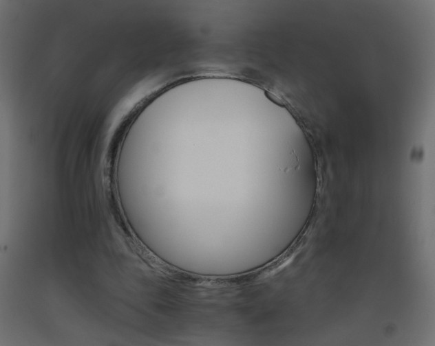 X0000093440343200710120949