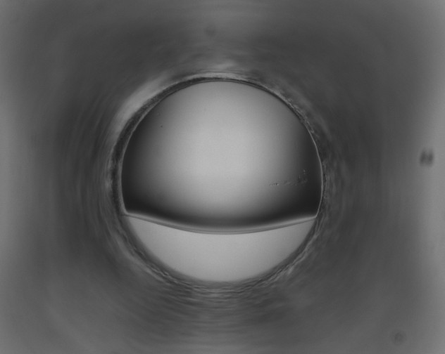 X0000093440344200710120949