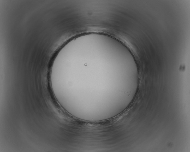 X0000093440346200710120950