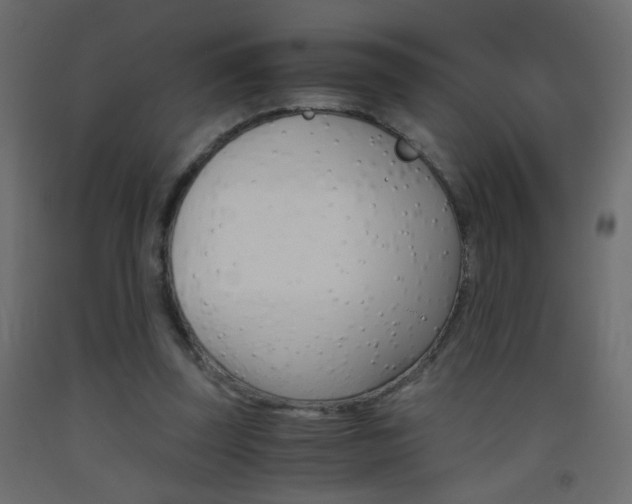 X0000093440347200710120950