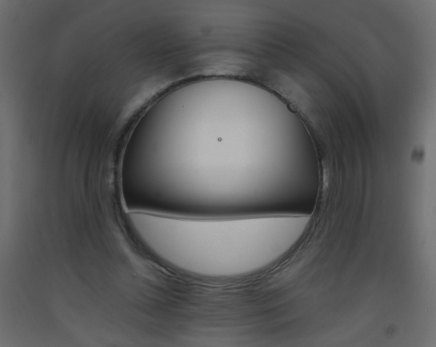 X0000093440348200710120950