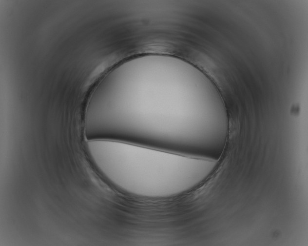 X0000093440349200710120950