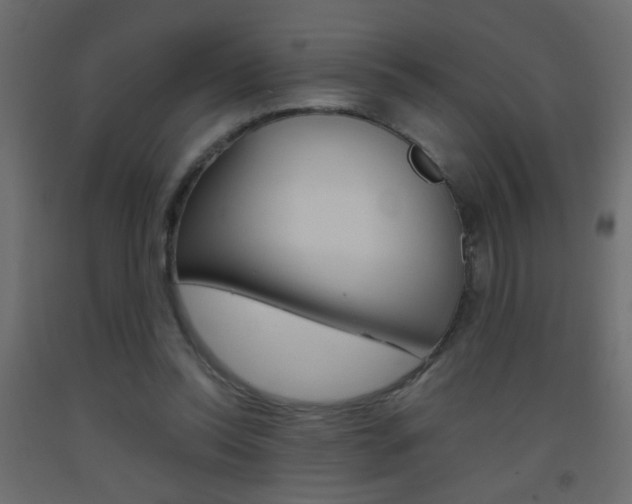 X0000093440350200710120950