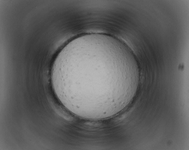X0000093440351200710120950