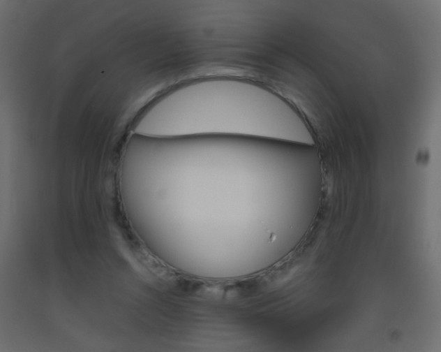 X0000093440352200710120950
