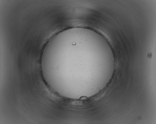 X0000093440353200710120950