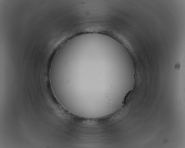 X0000093440354200710120950