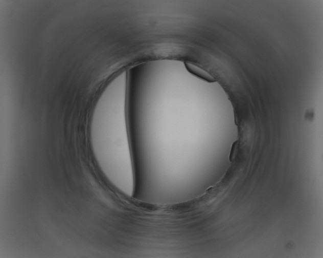 X0000093440356200710120950