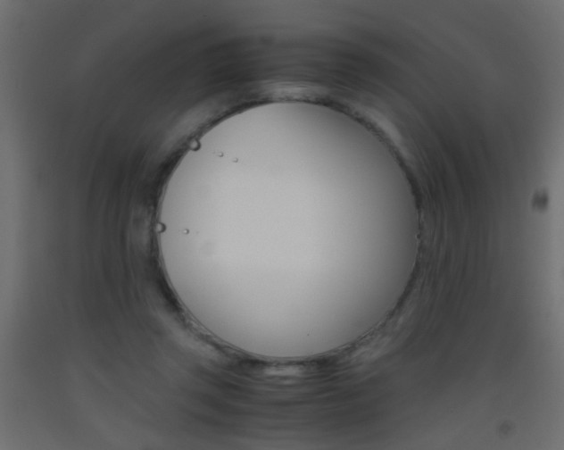 X0000093440357200710120950