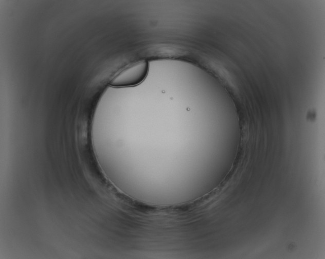 X0000093440358200710120950