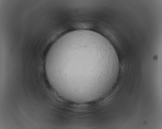 X0000093440359200710120950