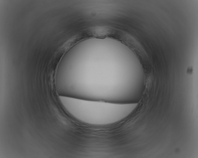X0000093440360200710120950