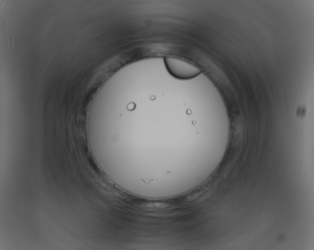 X0000093440361200710120950