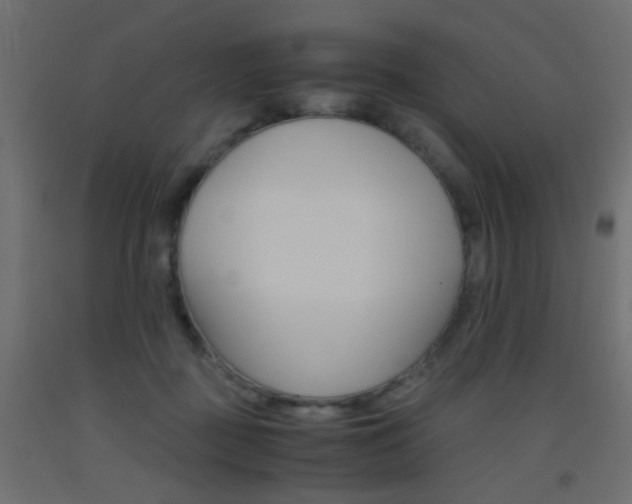 X0000093440363200710120950