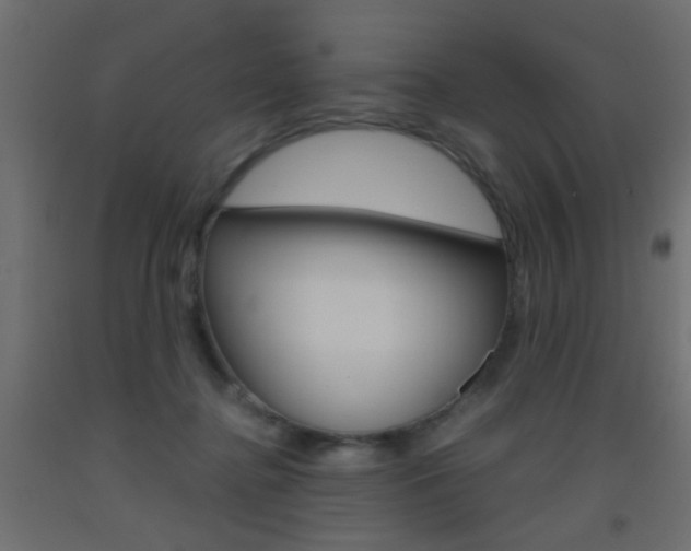 X0000093440364200710120950
