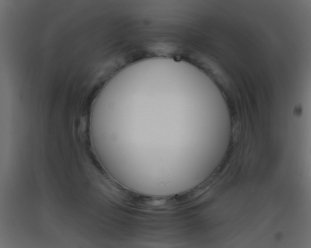 X0000093440365200710120950