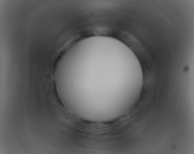 X0000093440367200710120950
