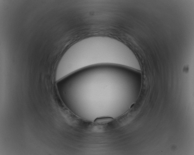 X0000093440368200710120950