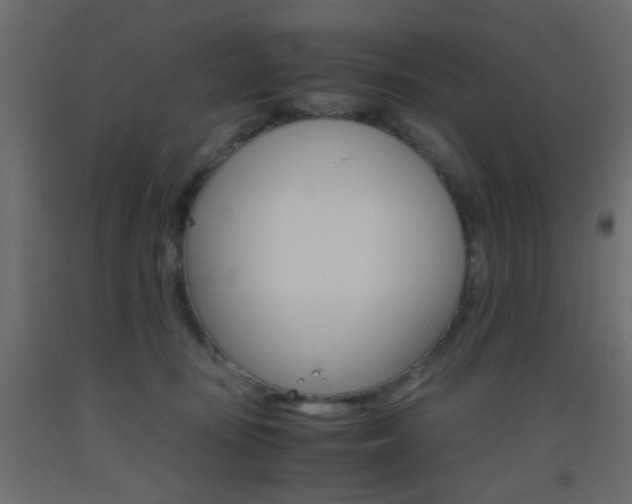 X0000093440371200710120950