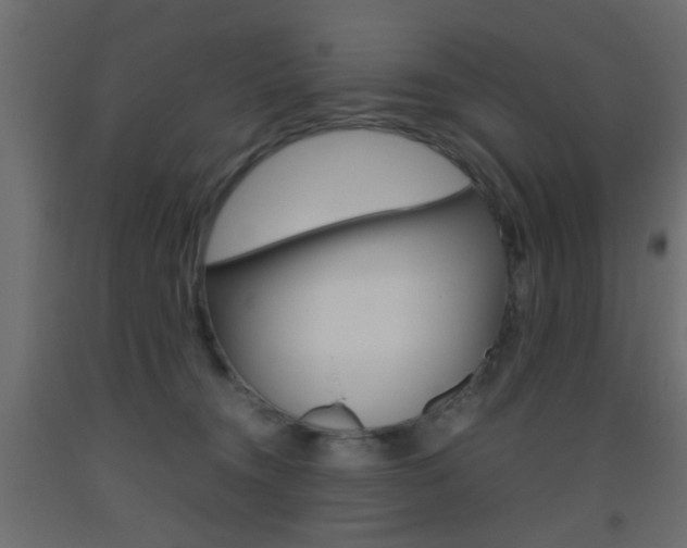X0000093440372200710120950