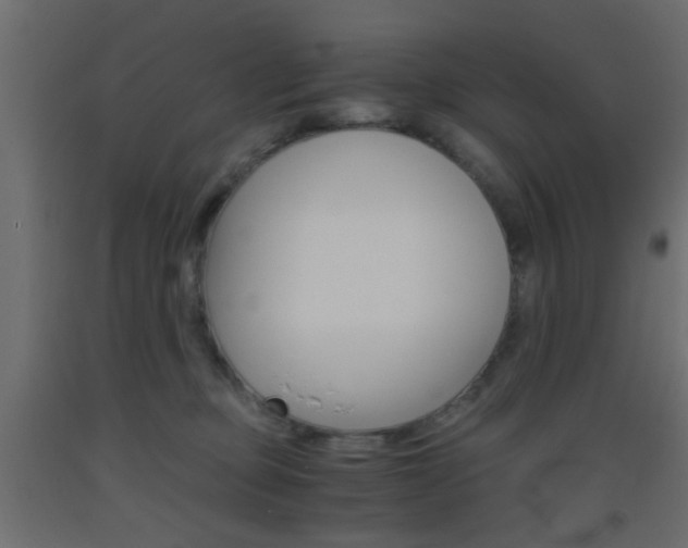 X0000093440373200710120950
