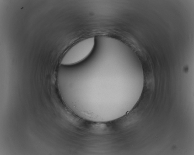 X0000093440374200710120950