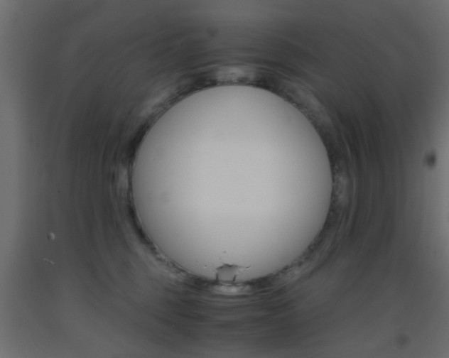 X0000093440375200710120950