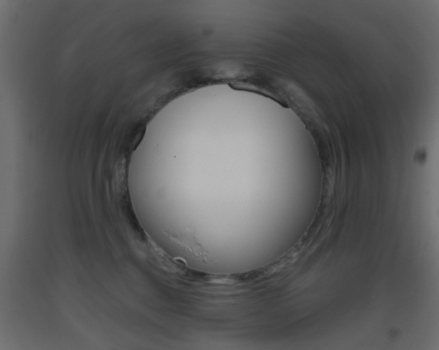 X0000093440376200710120950