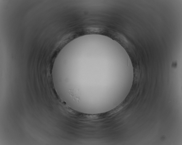 X0000093440377200710120950