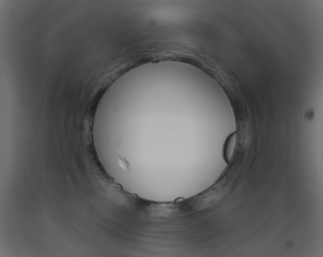 X0000093440378200710120950