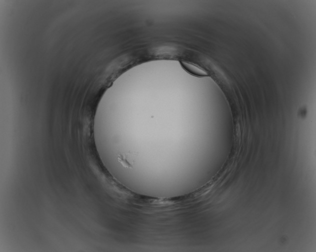 X0000093440379200710120950