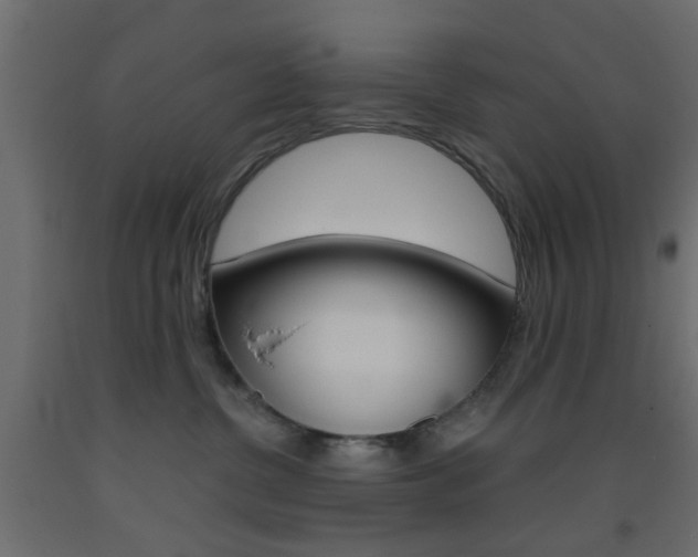X0000093440380200710120950