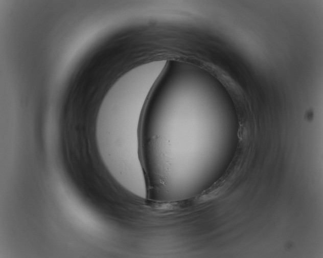 X0000093440382200710120950
