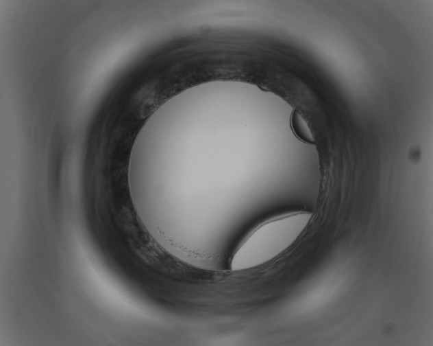 X0000093440383200710120950
