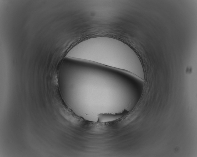 X0000093440384200710120950