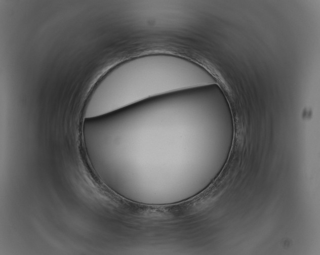 X0000093440386200710120949