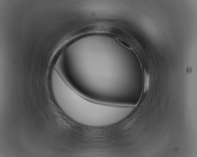 X0000093440387200710120949