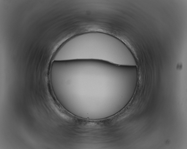 X0000093440390200710120949