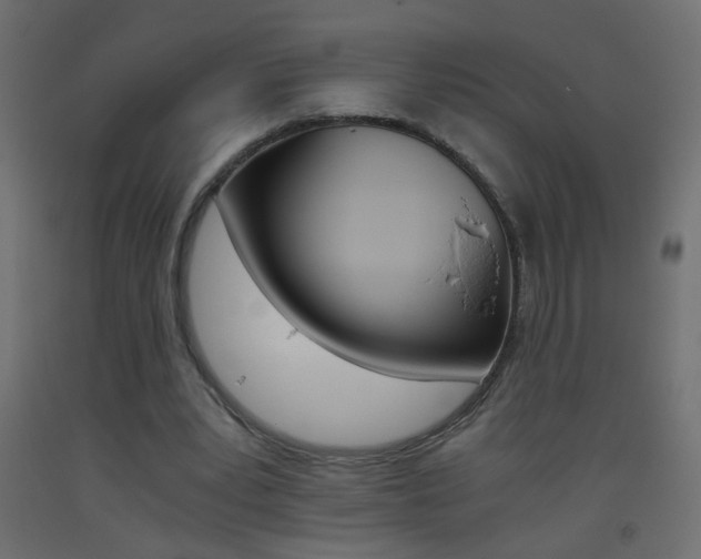 X0000093440391200710120949