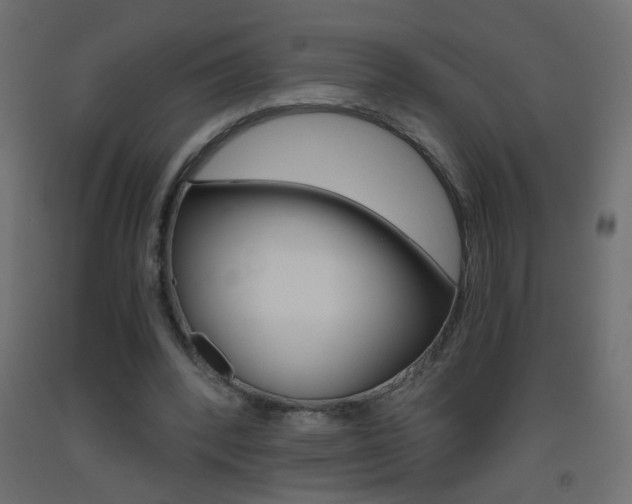 X0000093440392200710120949