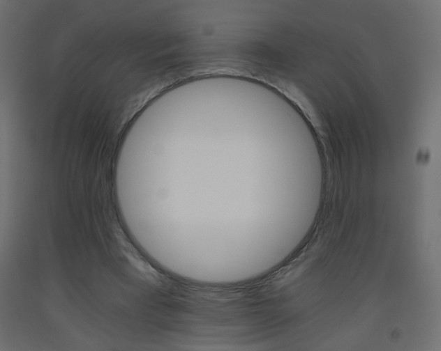 X0000093440393200710120949