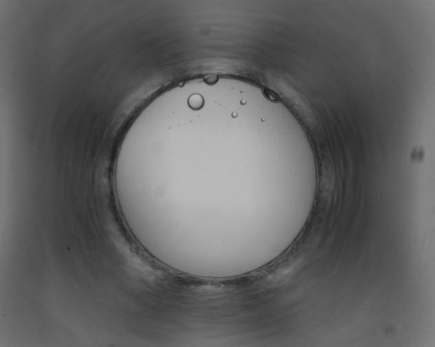 X0000093440394200710120949