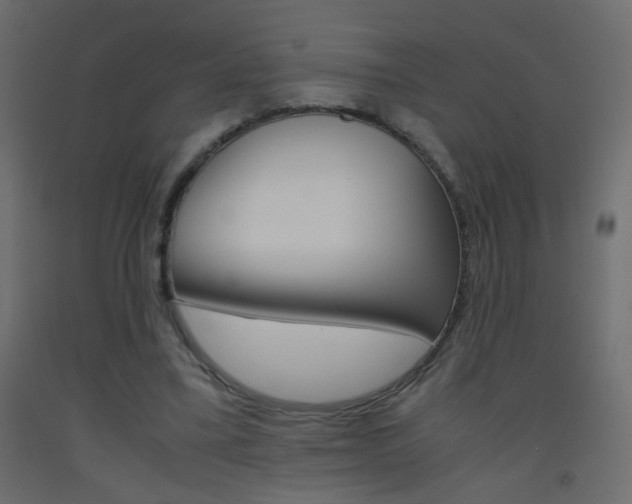 X0000093440395200710120949