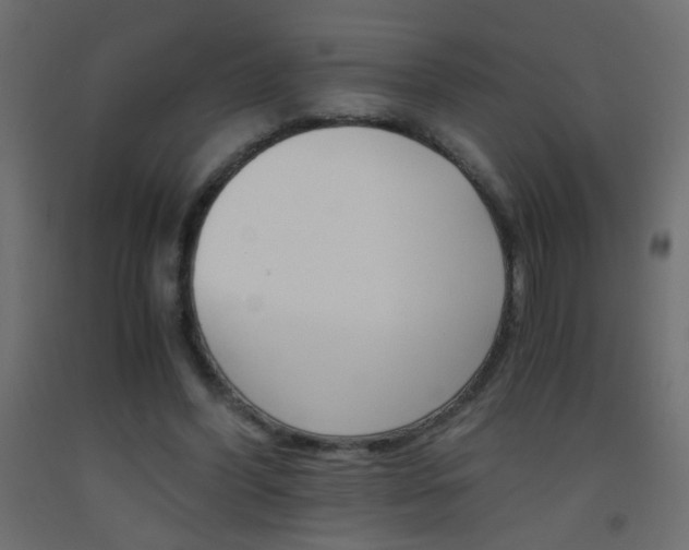 X0000093440396200710120949