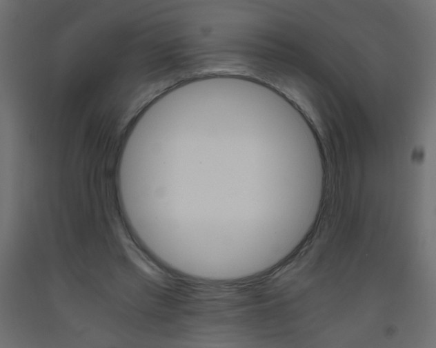X0000093440397200710120949